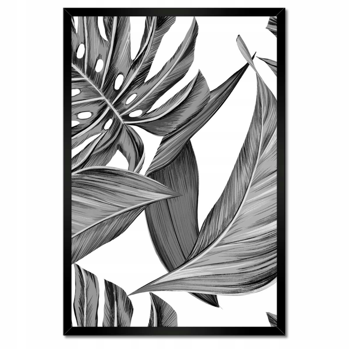 Plakáty v rámu 40x60 Monstera v šedé barvě