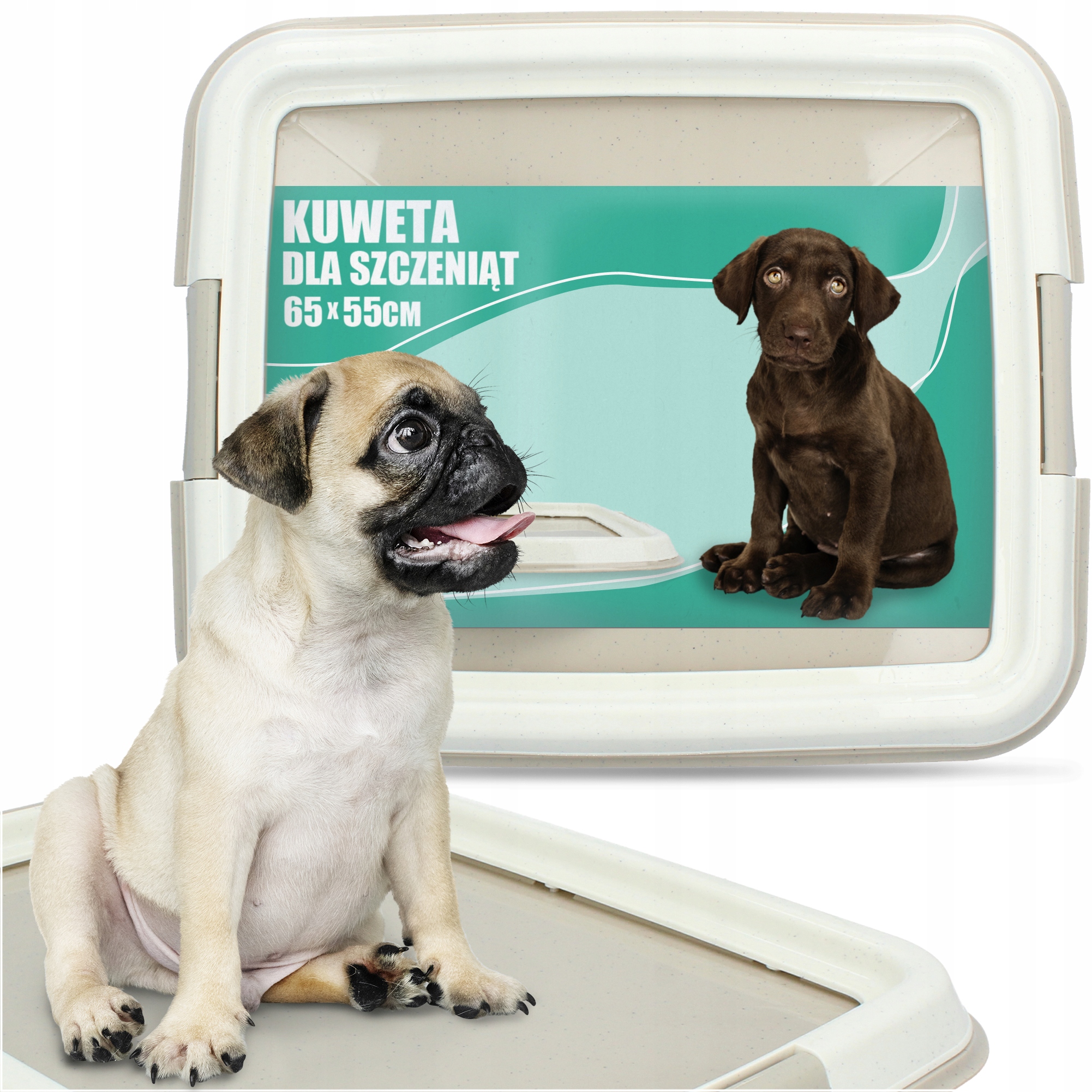 

Kuweta Mata Nauka Sikania Psa Szczeniąt Duża 65x55