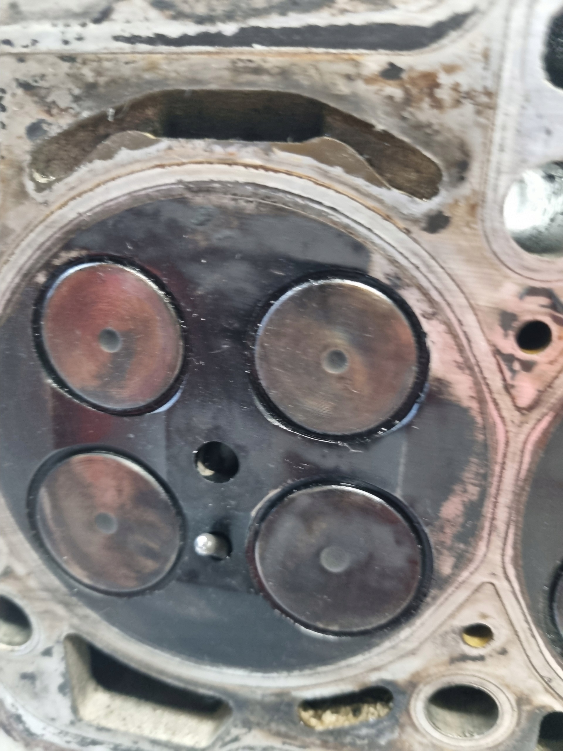 testata motore candele 55571949 OPEL INSIGNIA A 2.0 D
