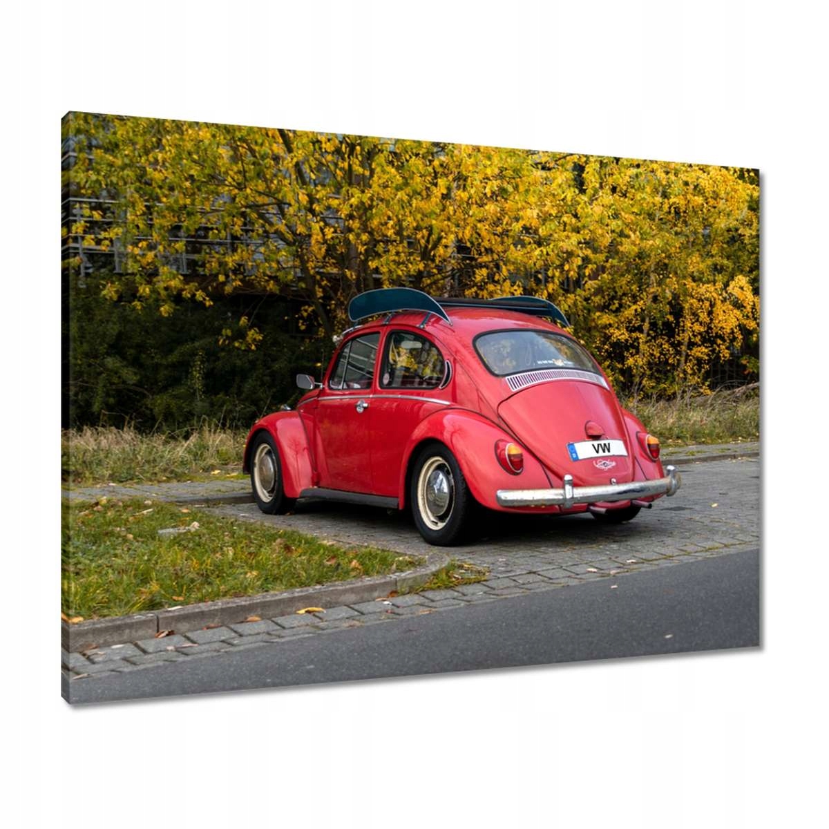 Obrazy 80x60 Garbus Volkswagen Vw Auto