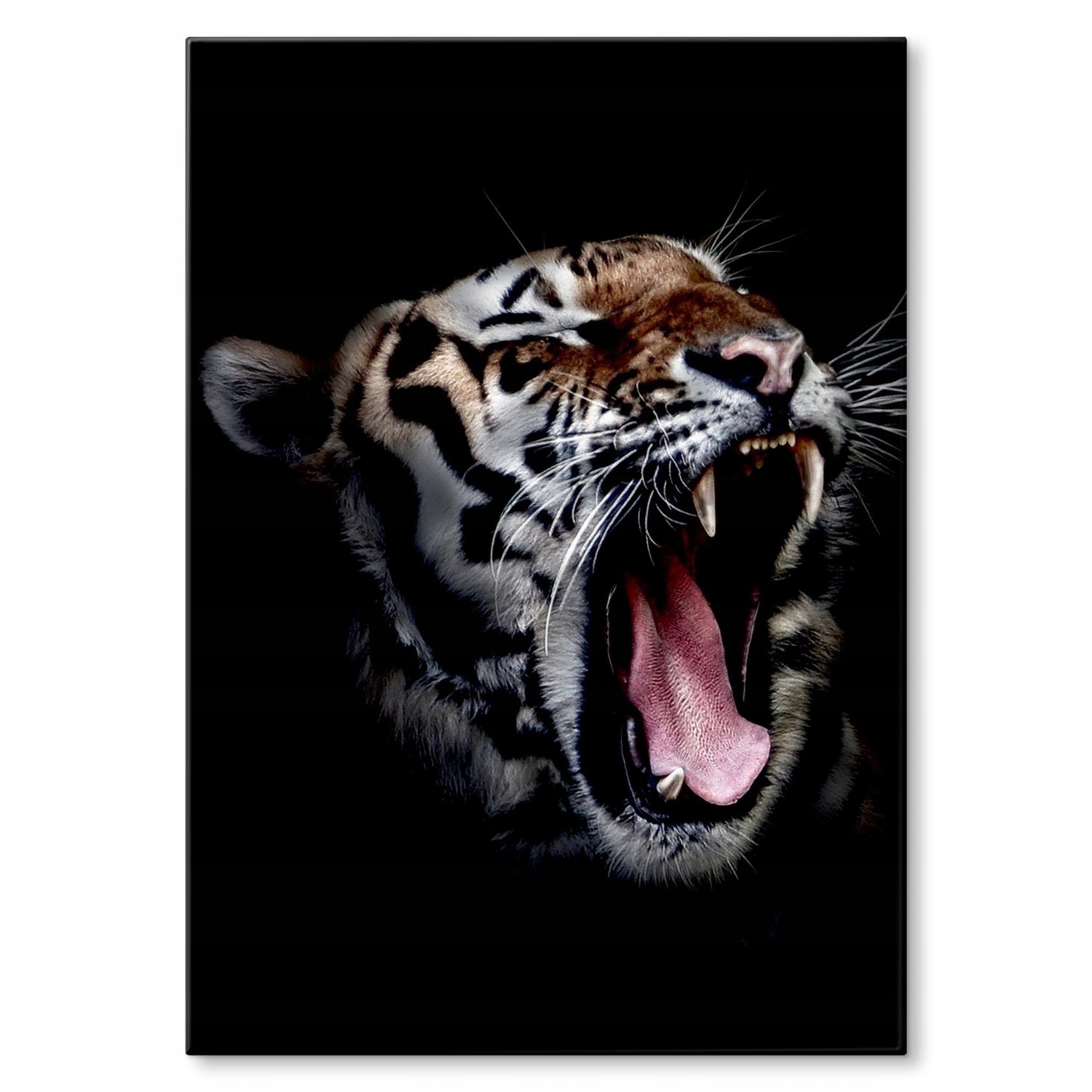 Kovový plakát Tygr Dárek 42 x 59 cm