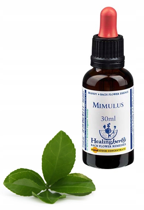 Esencja Dr Bacha nr 20. Mimulus Kroplik Żółty Figlarek 30 ml