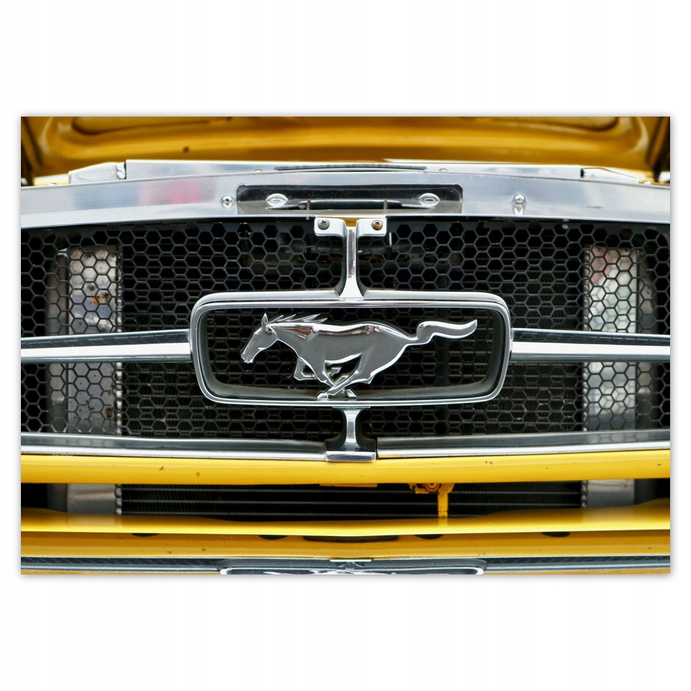 

Fototapety flizelina 208x146 Znak Ford Mustang