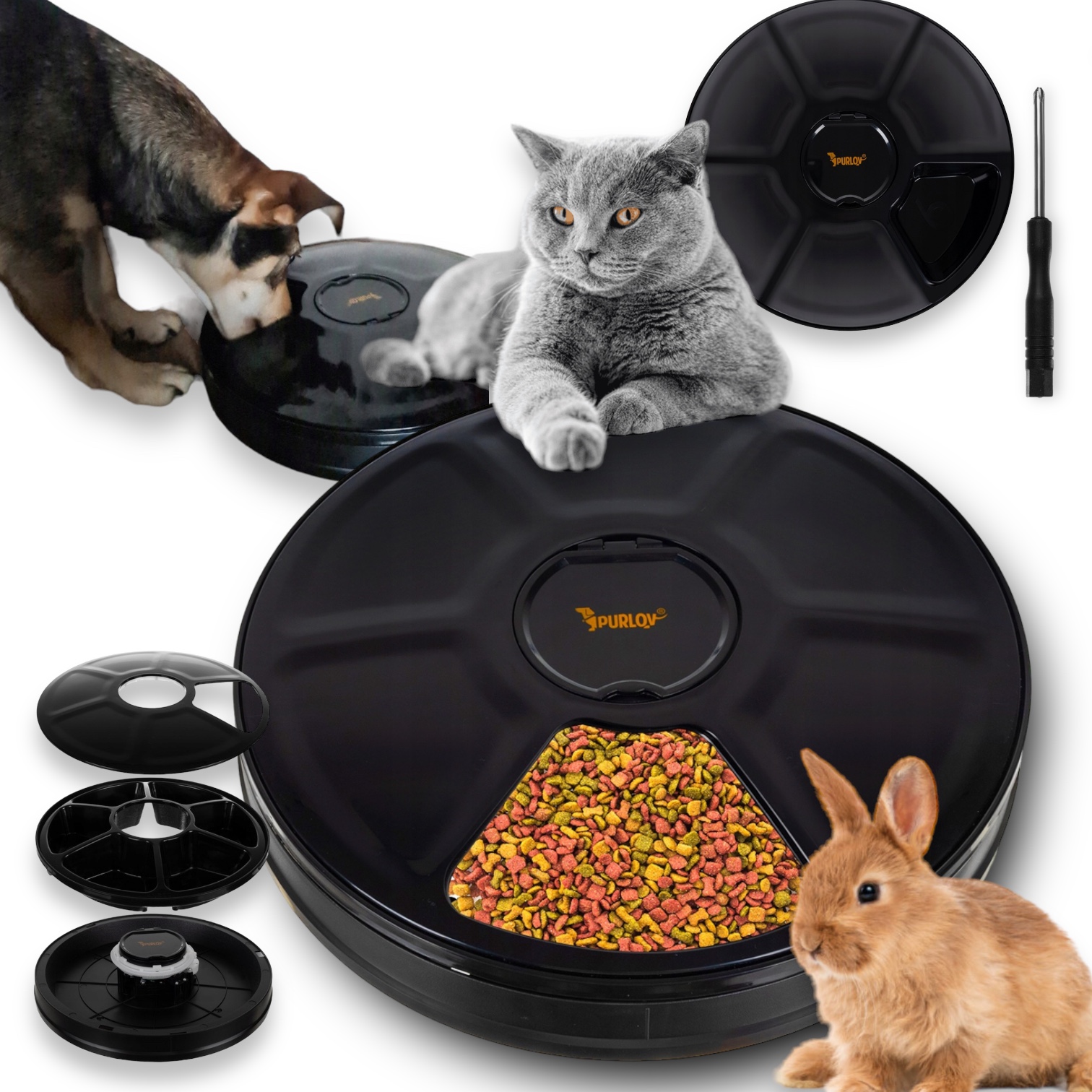 Levně Automatický Dávkovač Krmiva Pro Psa A Kočku Na Baterie A 6 Jídel