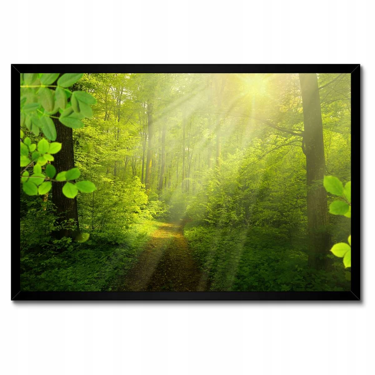 Plakáty v rámu 60x40 Kouzelný les Paprsky