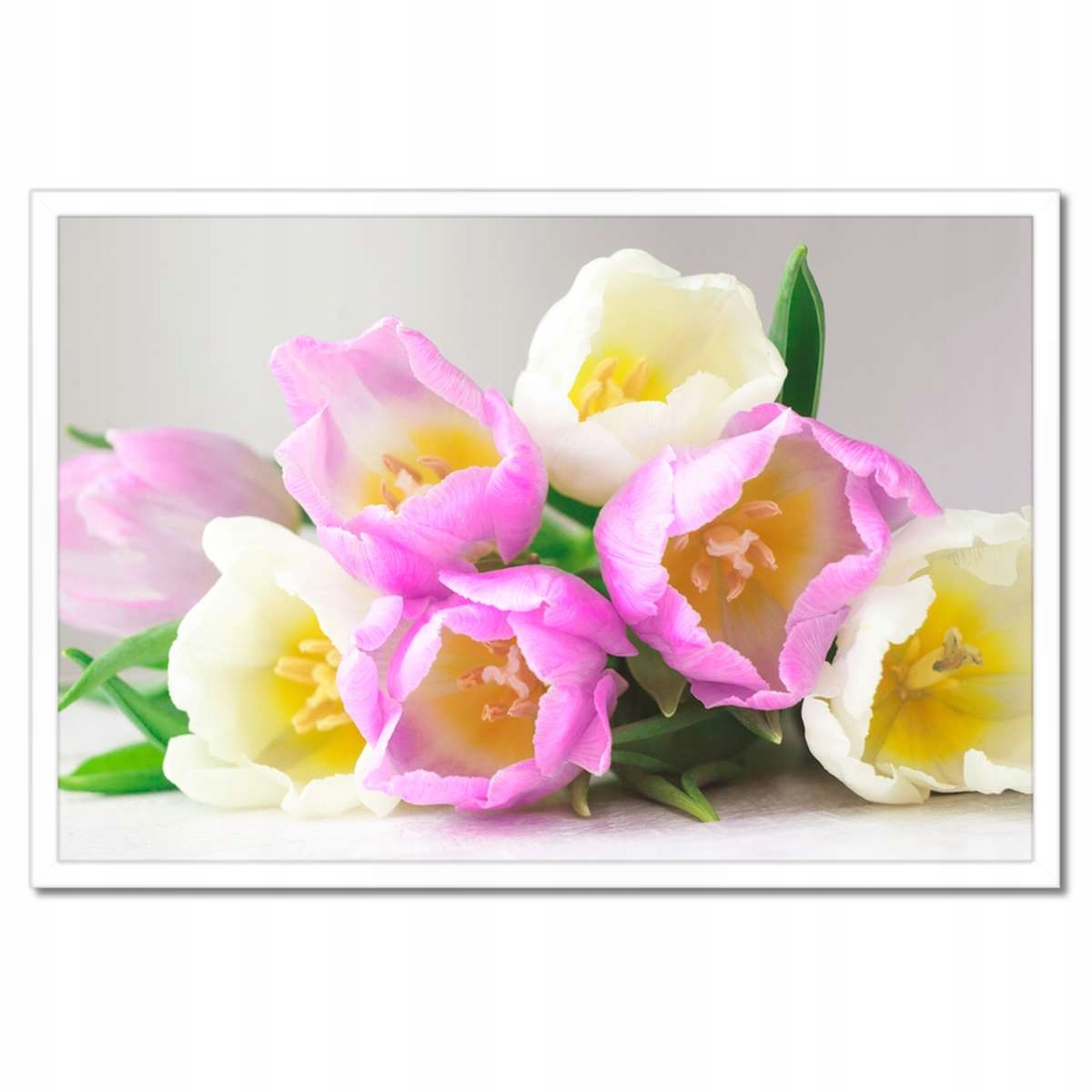 Plakáty v rámu 60x40 Jemné tulipány
