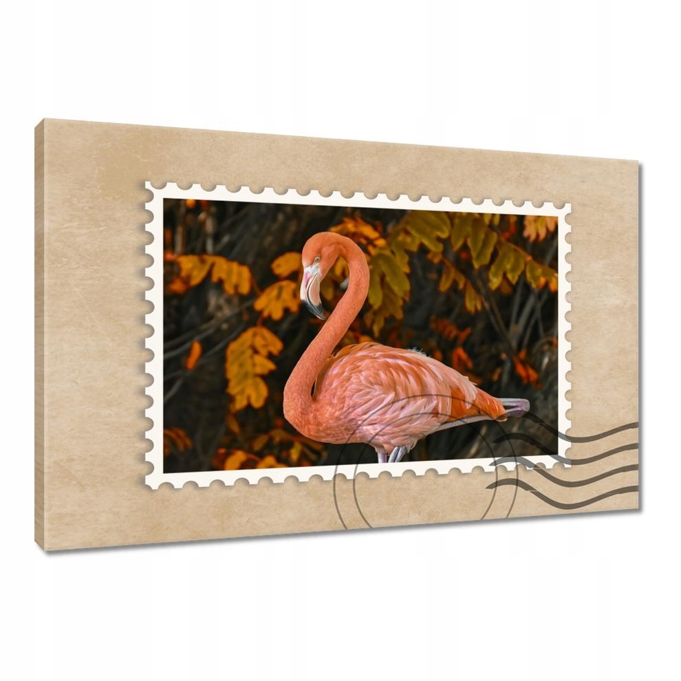 

Obrazy 120x80 Pelikan w naturze