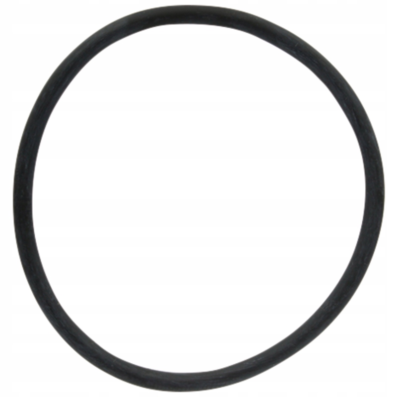 

Oring do wkładu filtra 670314300060 Arag