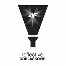 SPODNIE NARCIARSKIE 4F dziecięce JSPMN001 146 Bohater brak