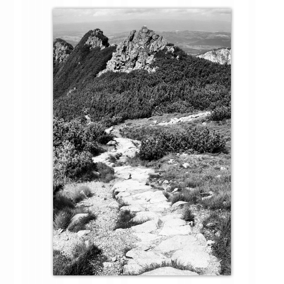

Plakaty 62x93 Tatry Polskie góry Widok
