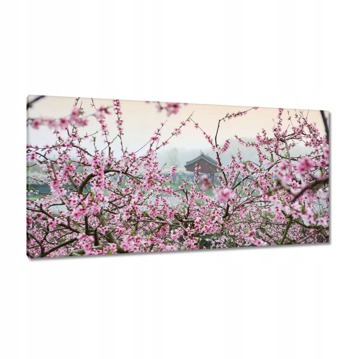 Obrazy 115x55 Japonsko Orient Buddhismus