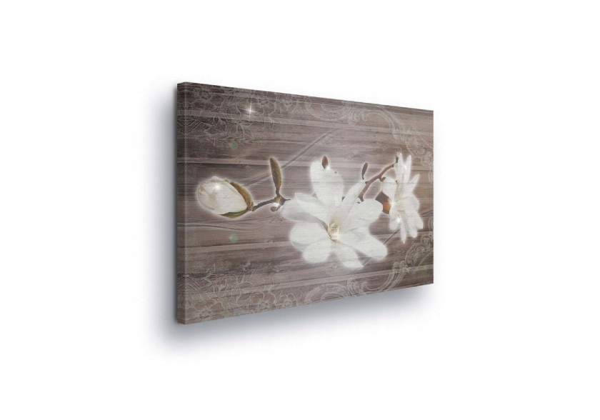 Obraz 100x75 Magnolie květ pupen botanika příroda jemnost klid