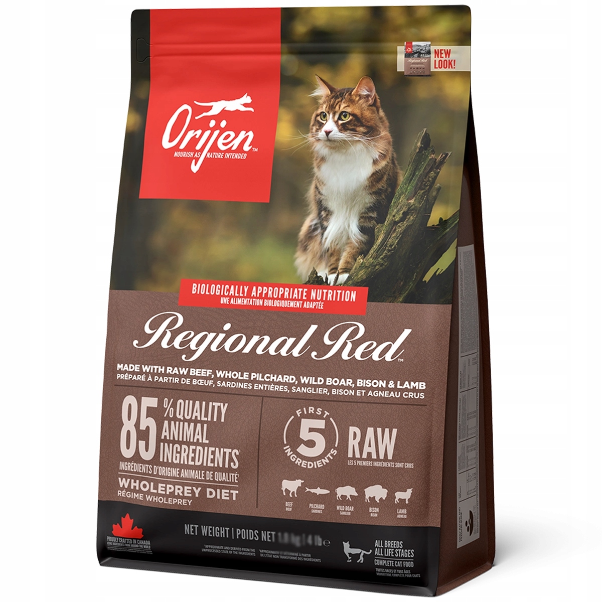 Sucha KARMA ORIJEN Cat Regional Red 340 g dla KOTA