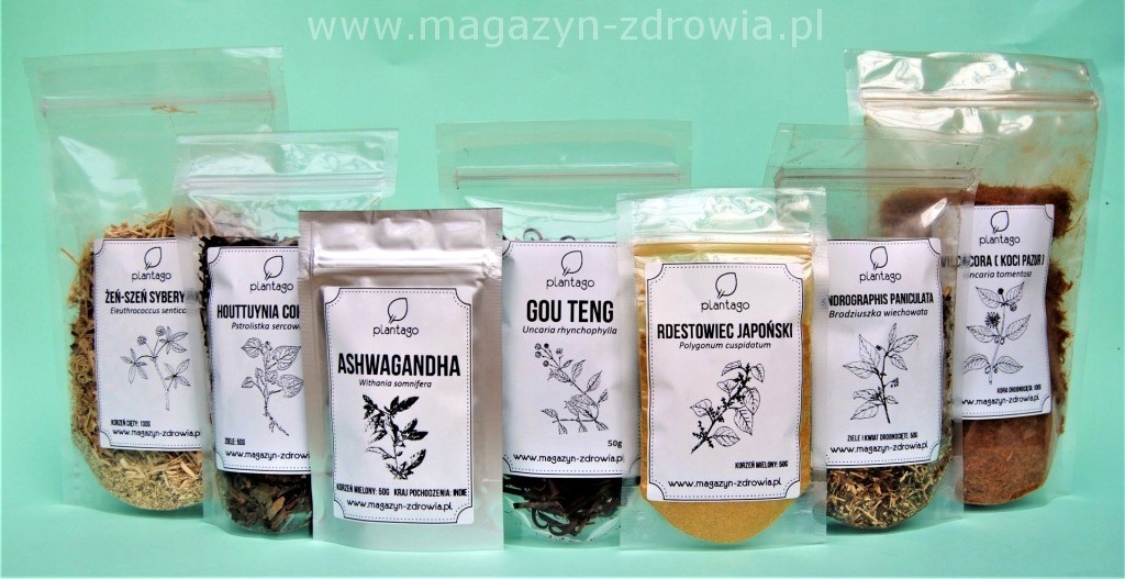 Podstawowy Protokół wg. Buhnera plus Uncaria rhynchophyl