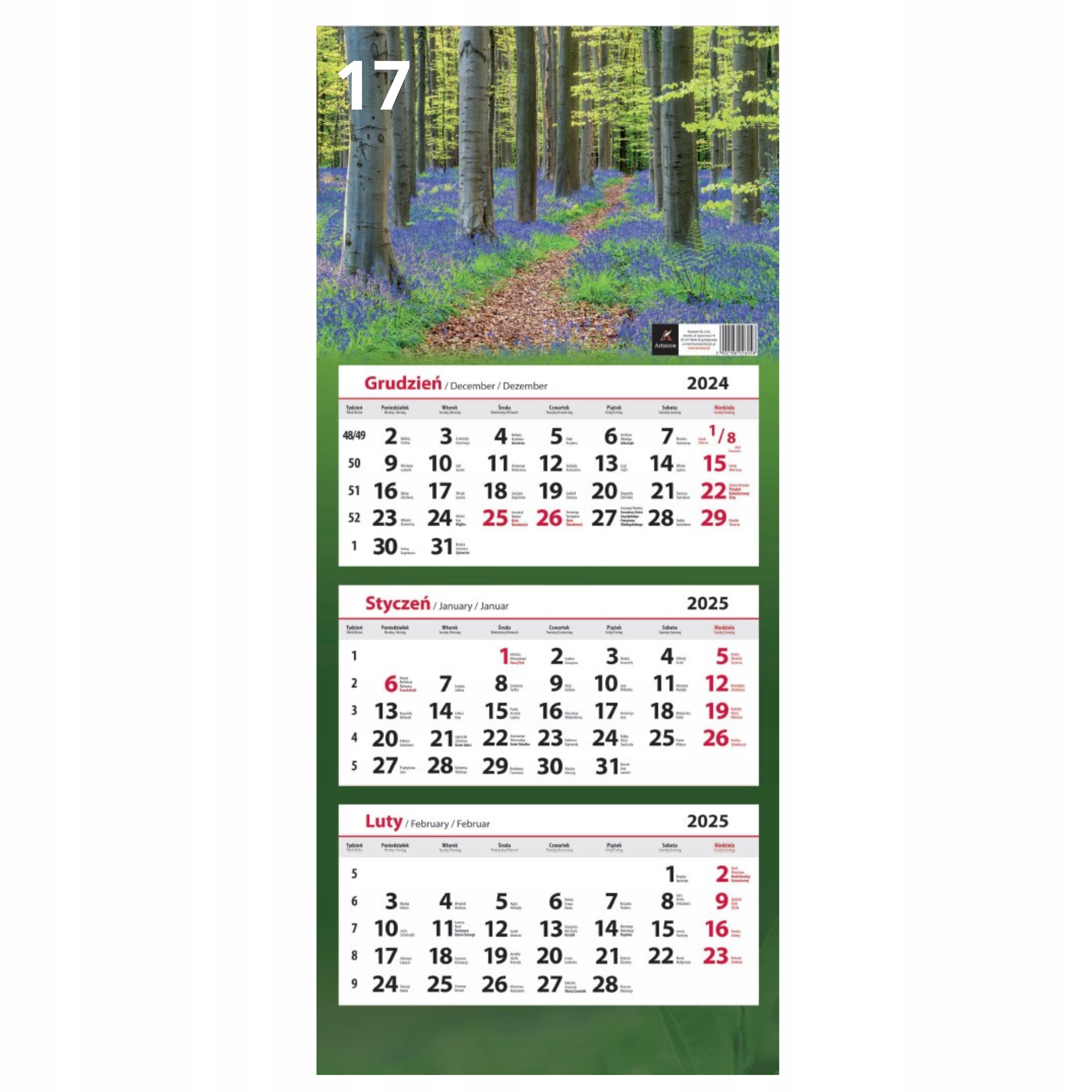 KALENDARZ TRÓJDZIELNY ŚCIENNY 2025 Rok Mix Wzorów