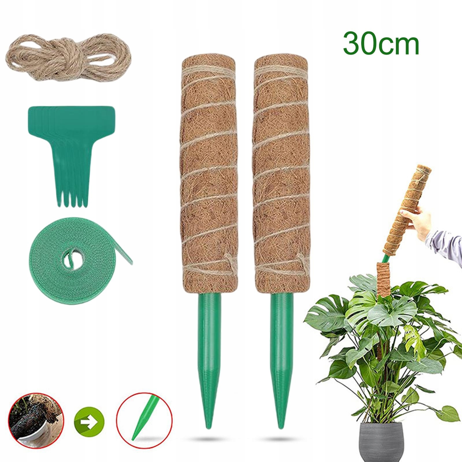 

Mech Słupy Roślin Wspinaczka Wspornik Monstera