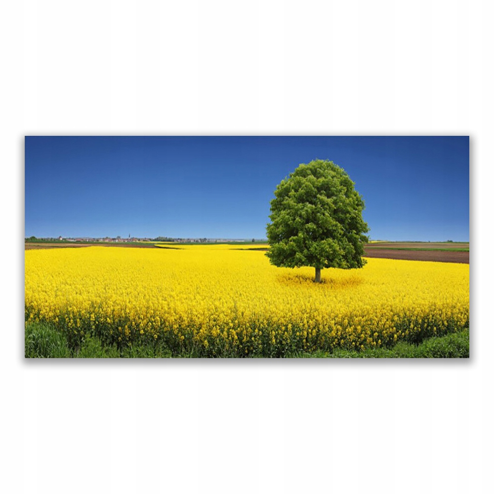 

Fotoobraz wiszący 120x60 Łąka Drzewo Natura Pole