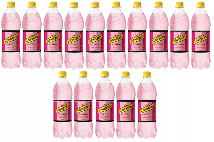 15x 850ml Schweppes Wild berry napój Zgrzewka