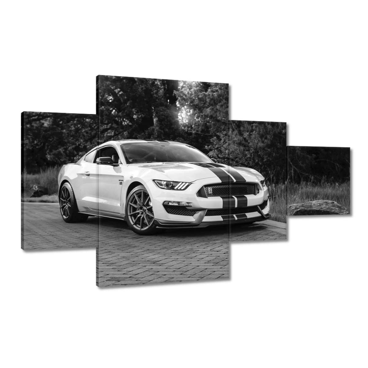Obrazy 130x80 Sportovní Ford Mustang