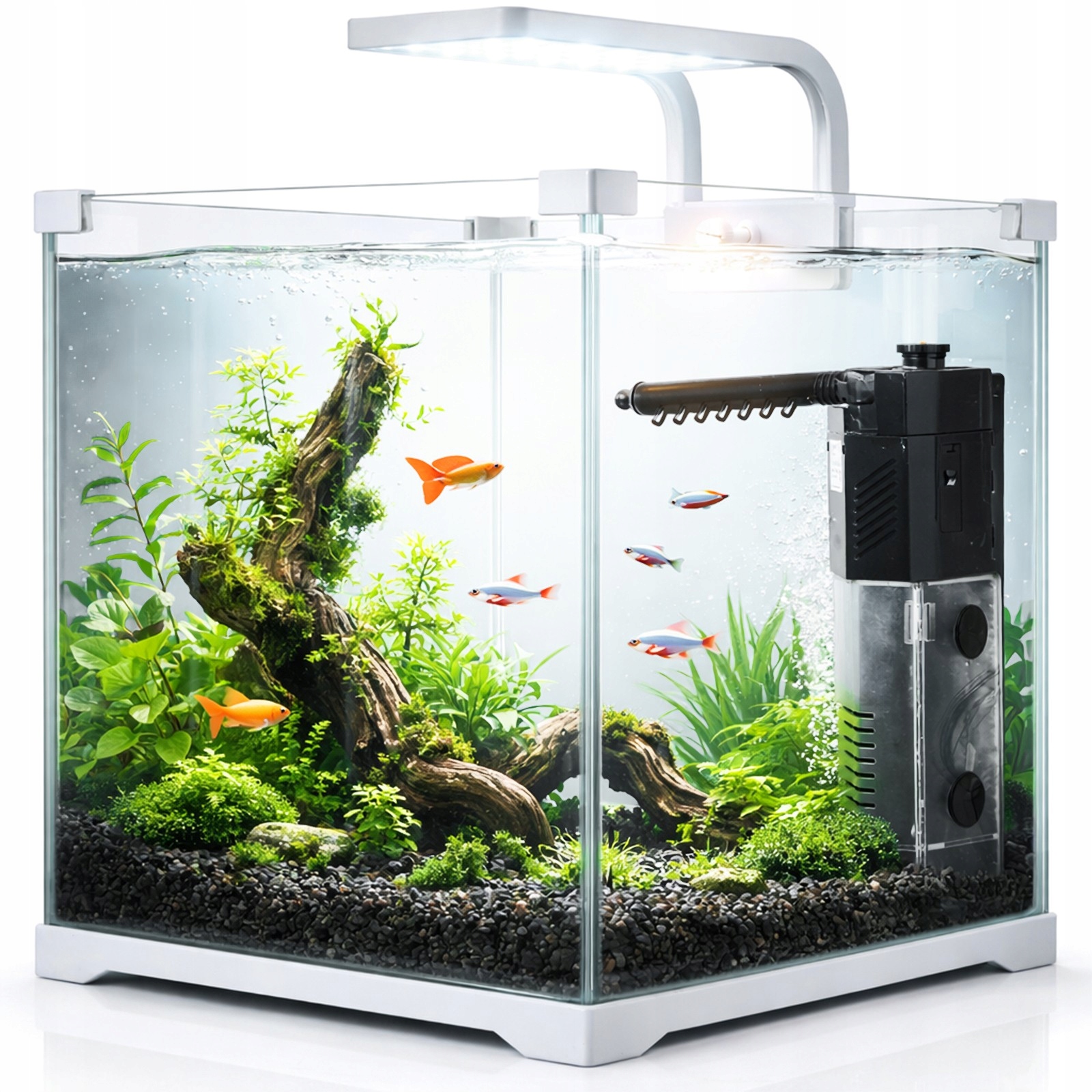 Zestaw Akwarium 15L Krewetkarium Lampa Led Filtr Podstawka Komplet Na Start