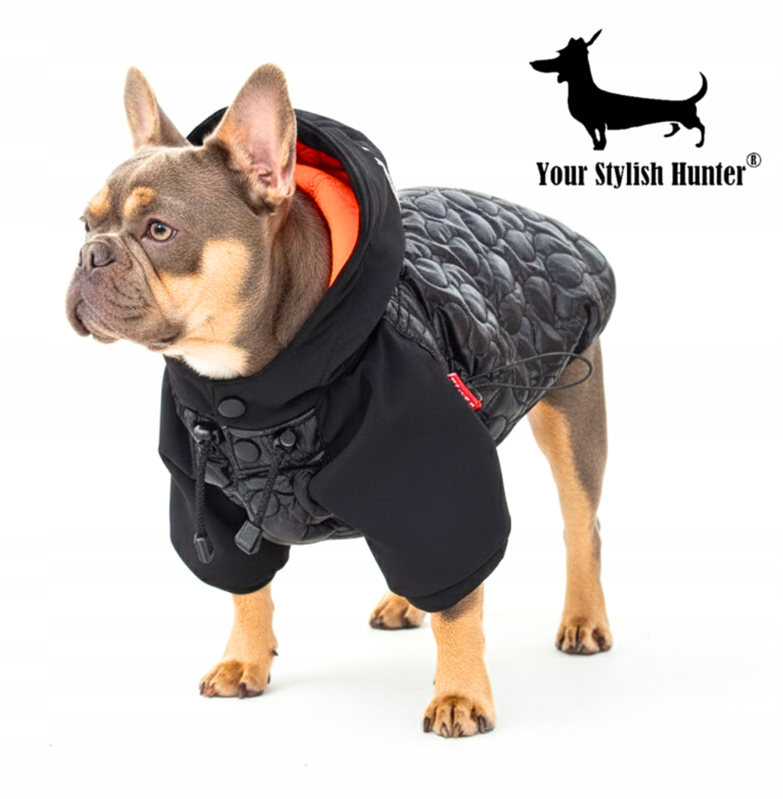 Levně Teplá lehká zateplená bunda s kapucí pro psa francouzského buldočka L