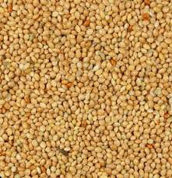 Proso Sizal-net 25 kg