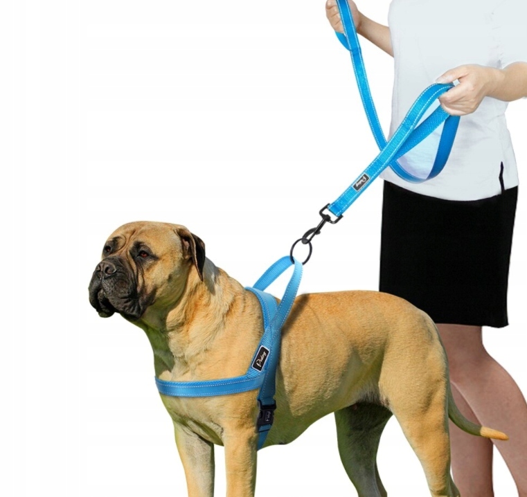 

Szelki Norweskie dla psa Mocne Komfort Odblask L