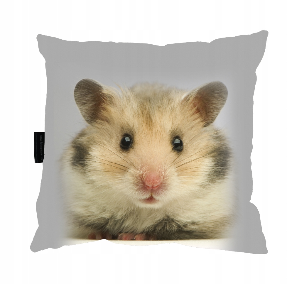 

Poduszka z Chomikiem chomik 40x40 idealna