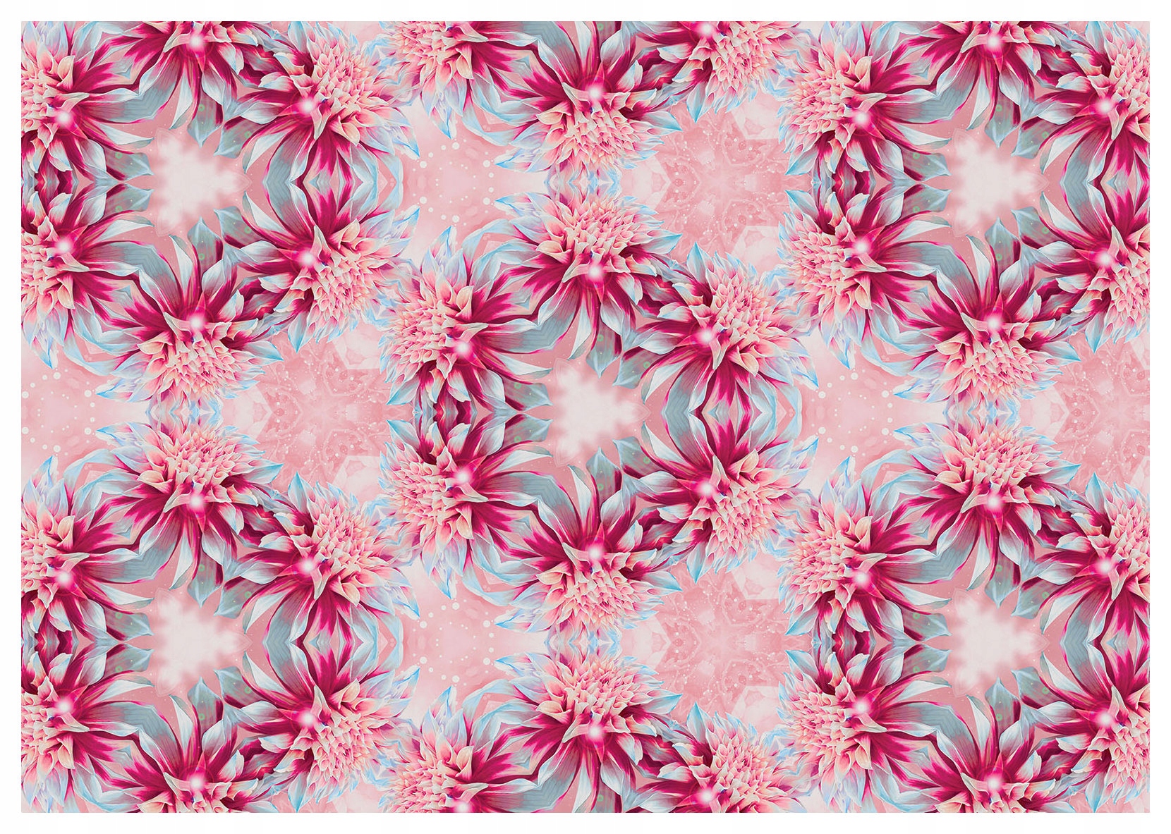 Fototapeta Dalie a Georgína Kvetinová symetria elegancie 368x254 lepidlo