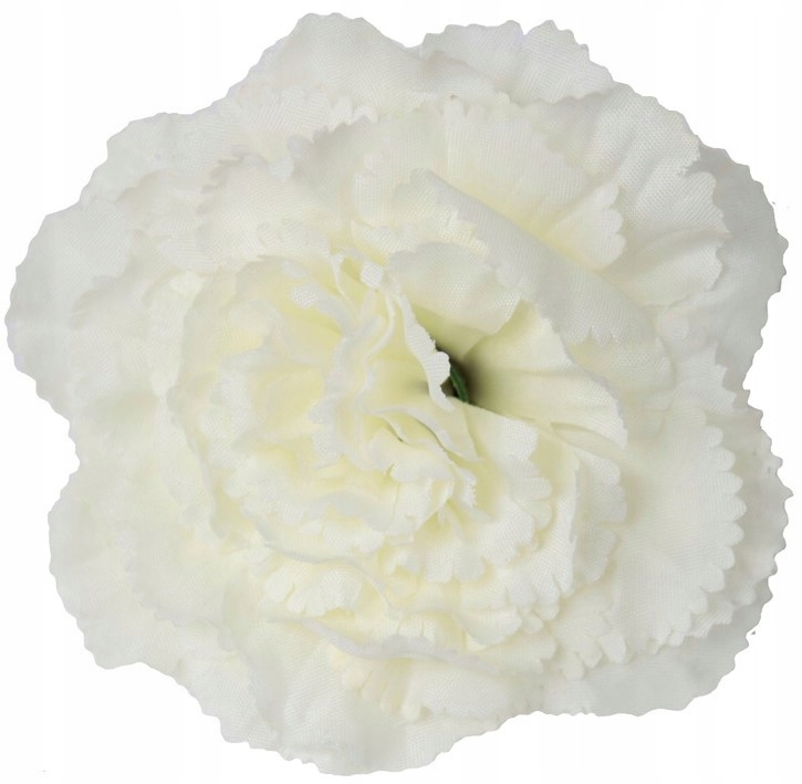 

Goździk główka kwiatowa Cena za 12 sztuk A-06