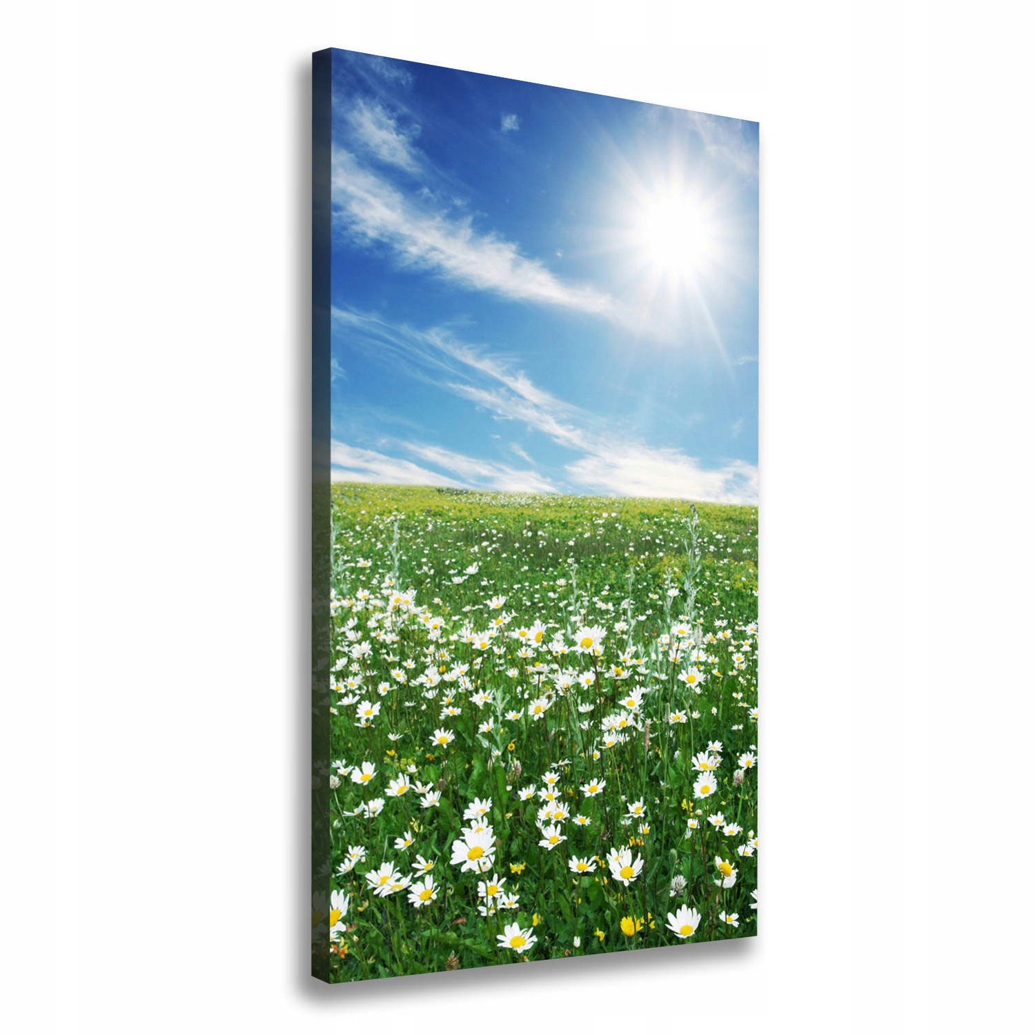 

Foto obraz drukowany na płótnie Łąka 70x140 cm
