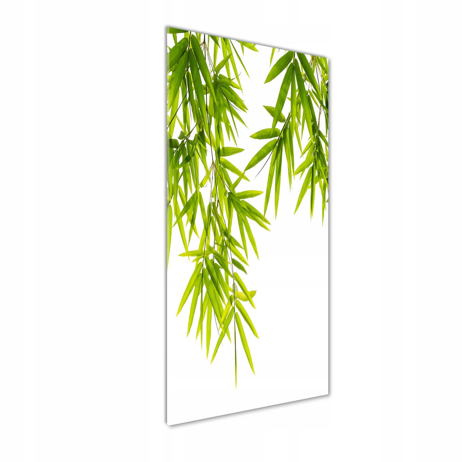 

Foto obraz akryl do salonu Liście bambusa 50x125cm