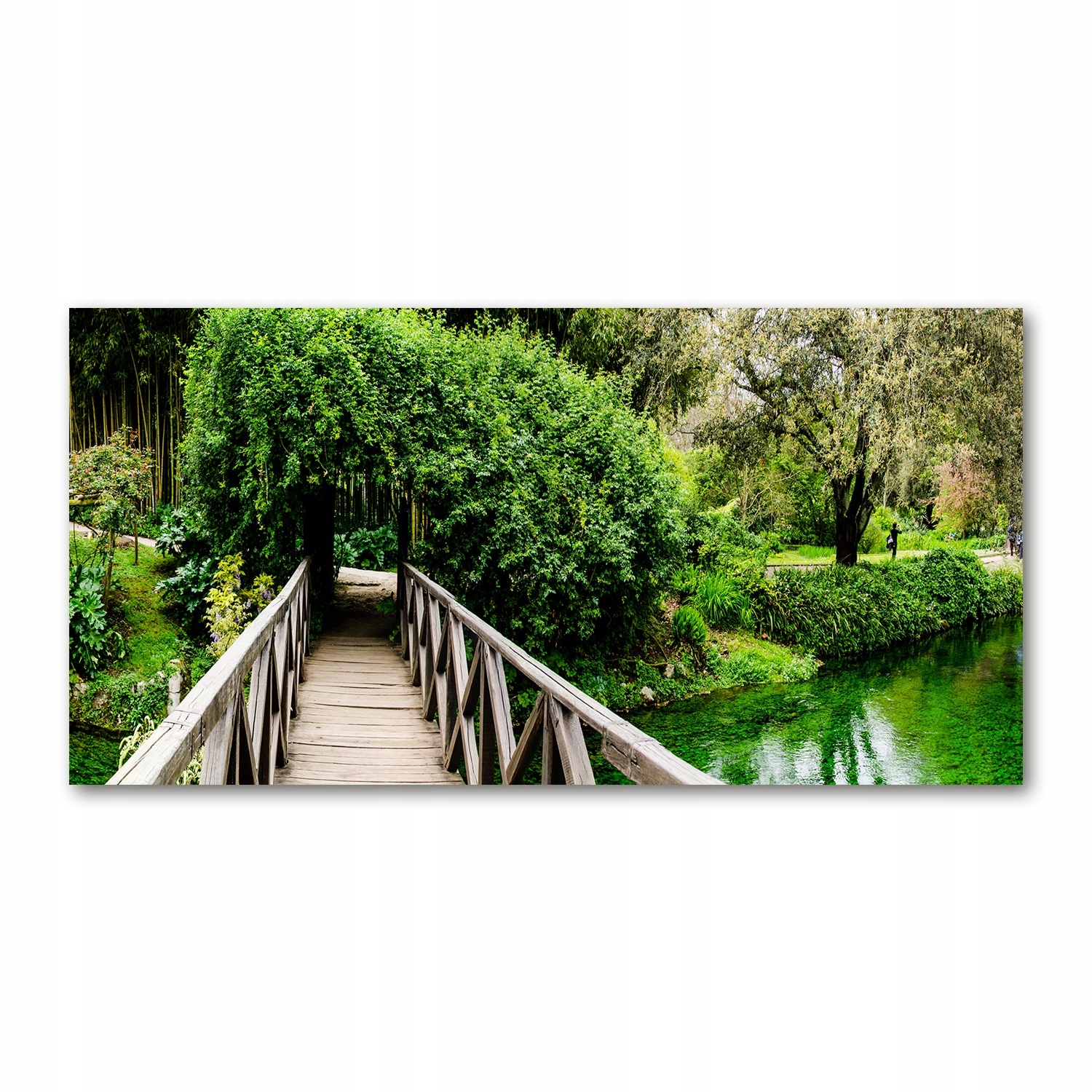 

Foto-obraz akryl Most na rzece zdjęcie 140x70 cm