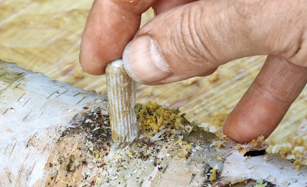 Levně Podhoubí na kolíčcích Sada XXL