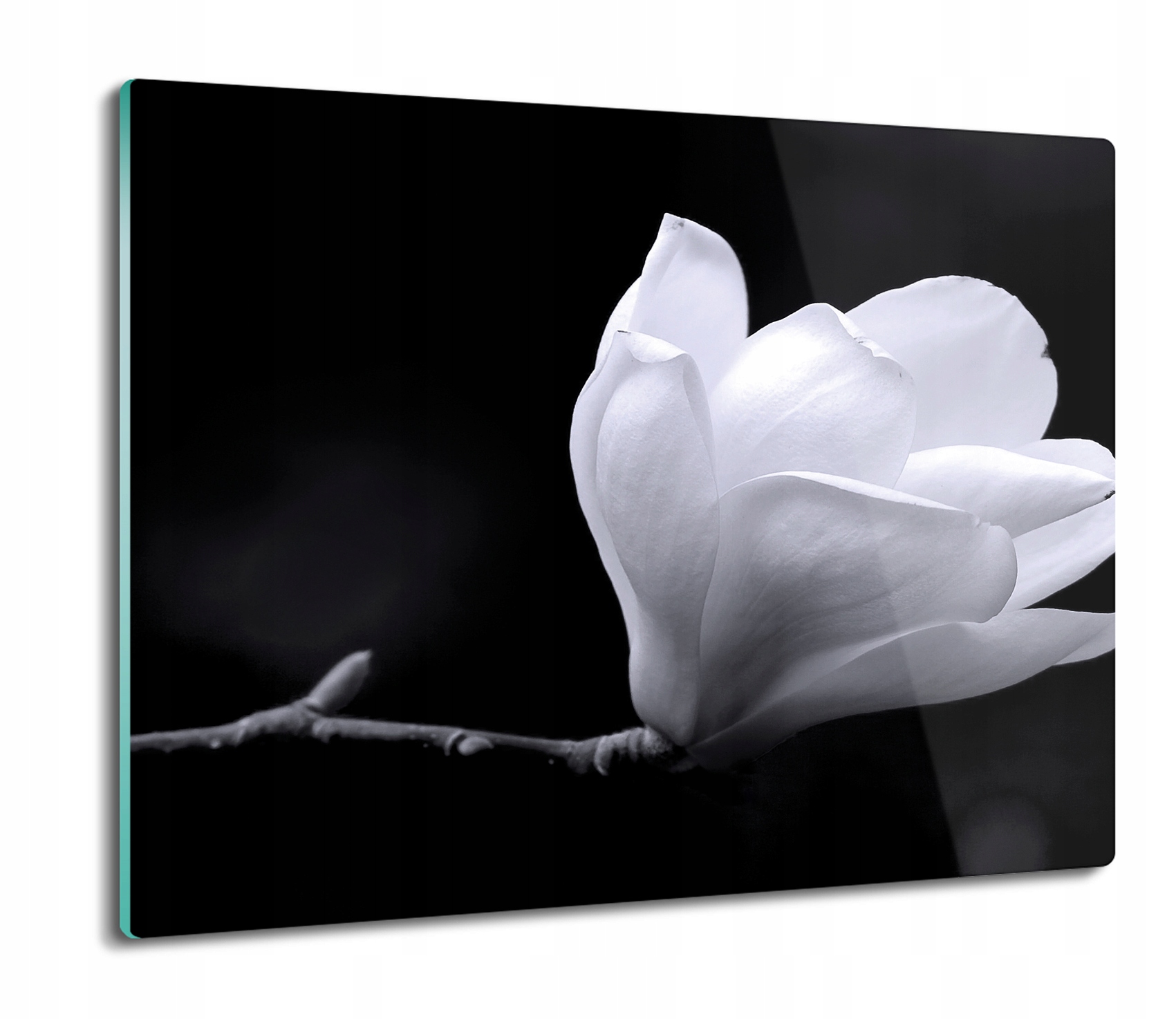 

Magnolia biały kwiat 60x52 deska szklana kuchenna