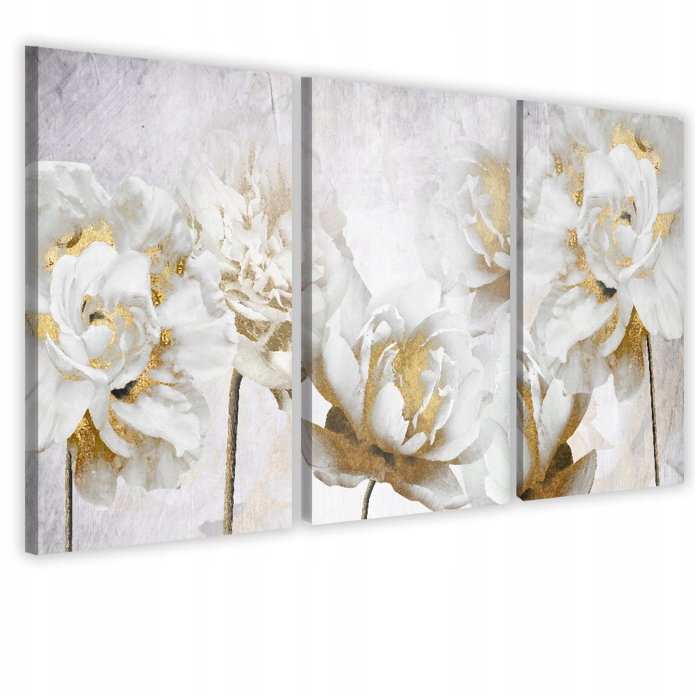 

Obraz obrazy na ścianę ścienne tryptyk 60x120