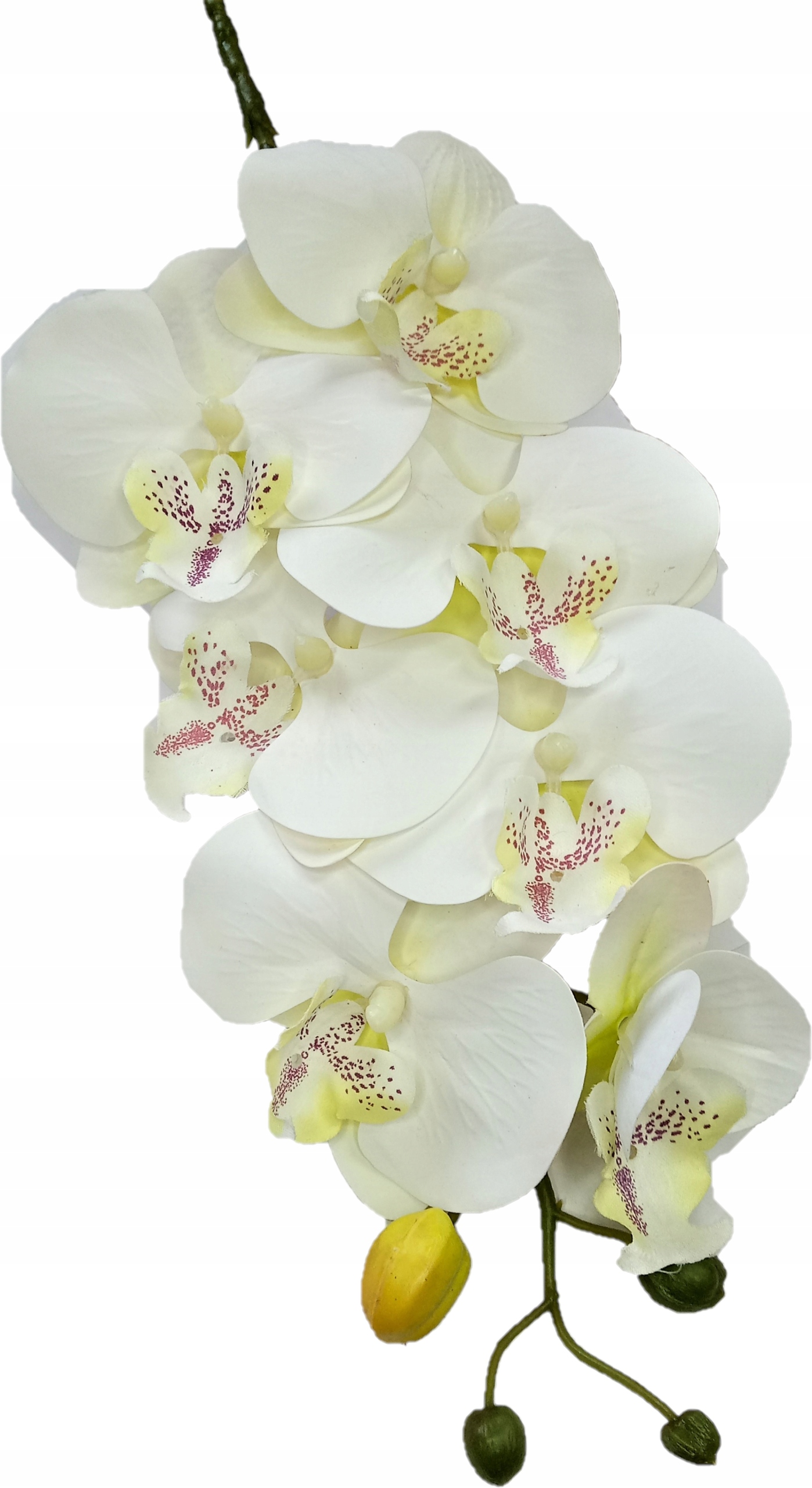 

Storczyk Sztuczny Jak Żywy Silikon 7 Kwiatów