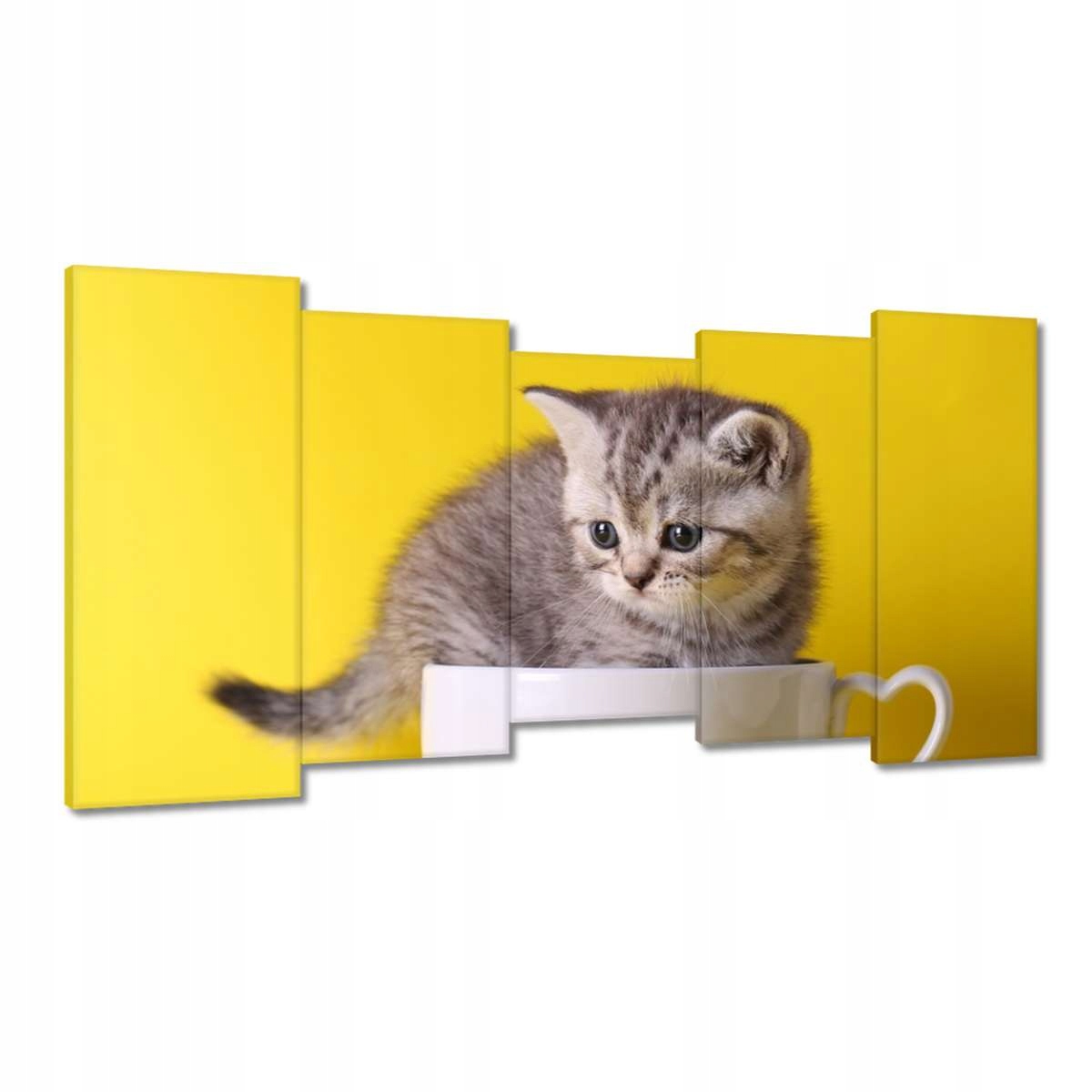 Obrazy 150x80 Kočka Kotě Kočky Kočka