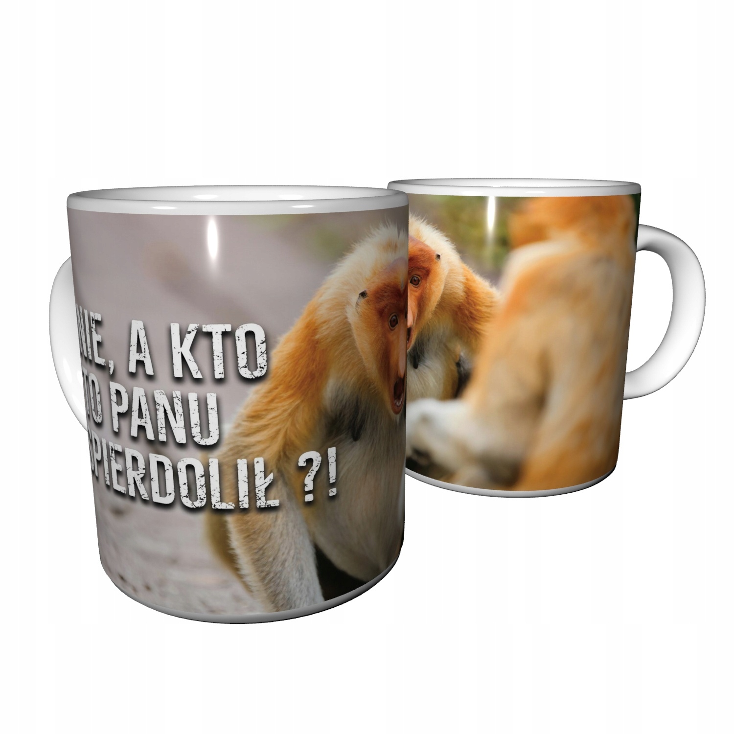 

Kubek Janusza Grażyny Cebulaka + Darmoszka