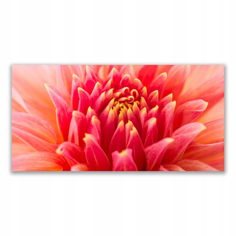 

Obraz akryl z grafiką 140x70 Kwiat Roślina Natura