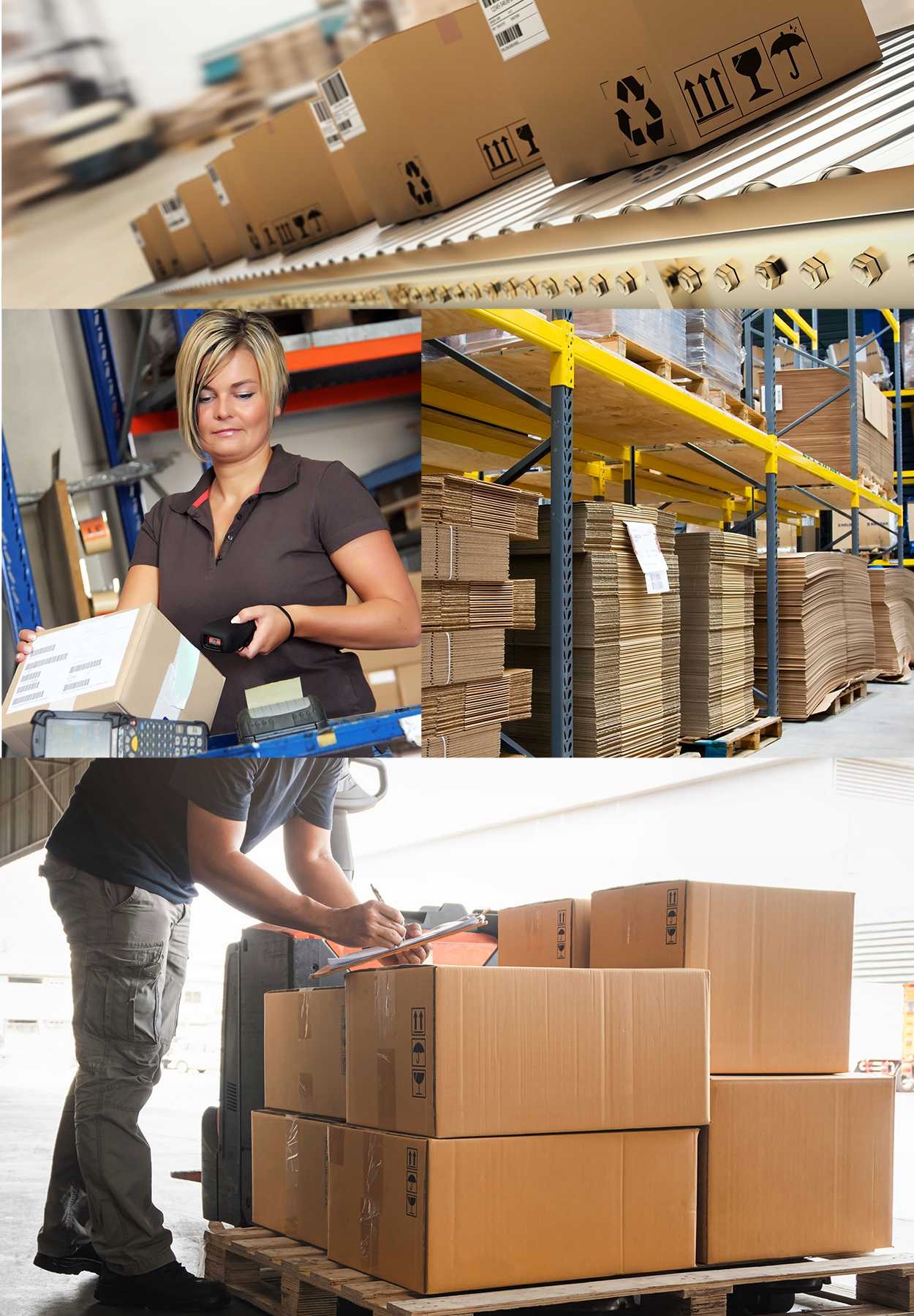 Folia spożywcza cateringowa 30cm 200m Marka bez marki