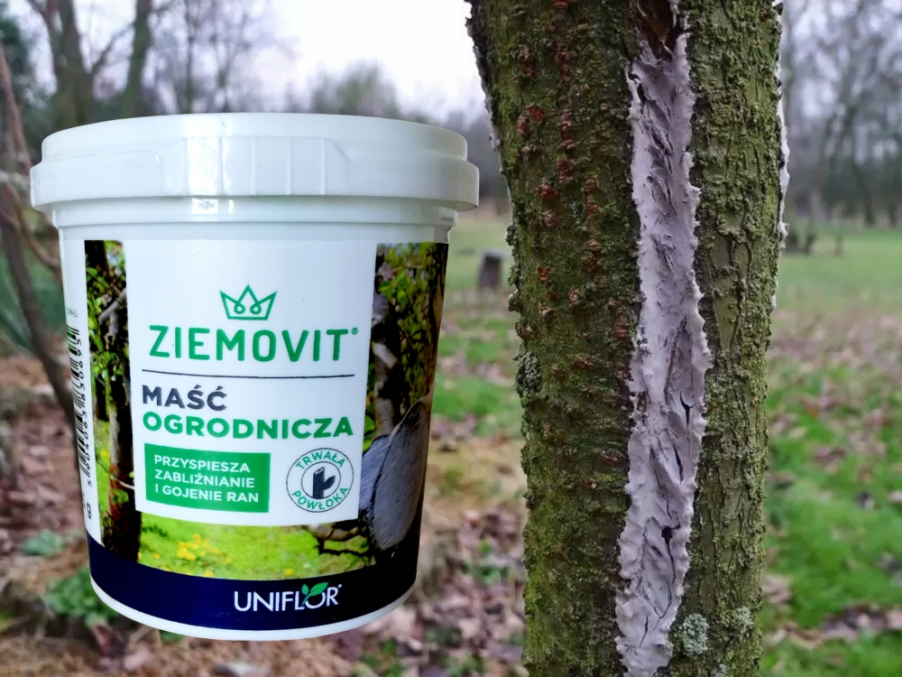 MAŚĆ OGRODNICZA NA RANY DRZEW CHRONI I GOI ODPORNA NA DESZCZ ZIEMOVIT 125G Forma maść