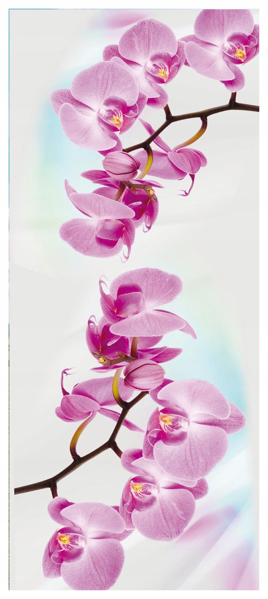 Vliesová fototapeta Růžové orchideje jemnost na stěnách 91x211 lepidlo