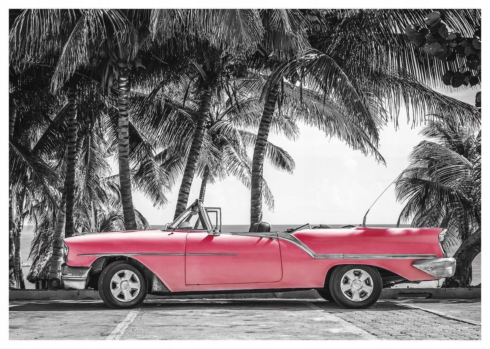 Vliesová fototapeta Fuchsiová palma Vintage Retro 400x280 lepidlo