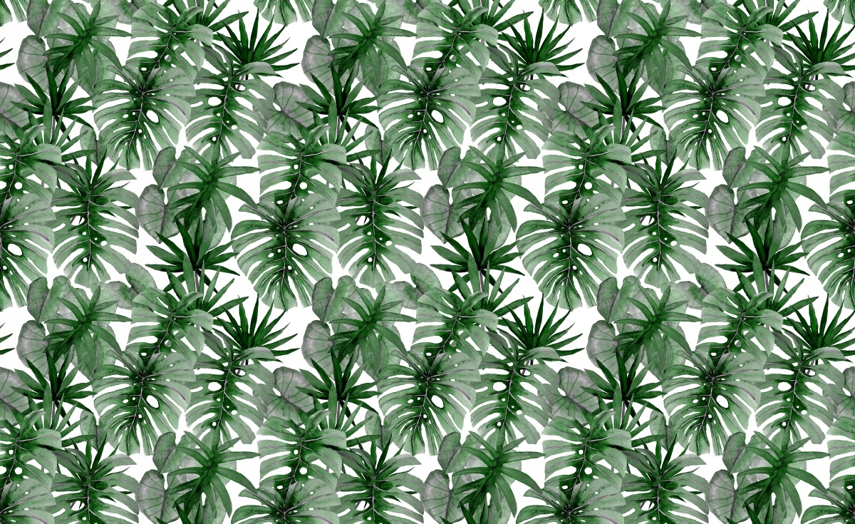 

Tapeta Flizelinowa Tropikalna Monstera 416x254