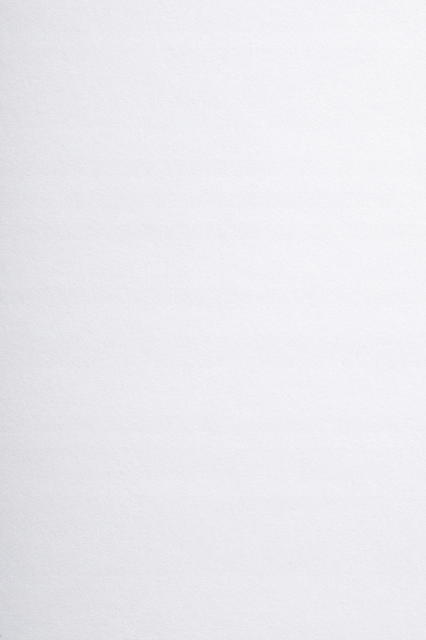 

Papier ozdobny gładki Arena 300g biały 20A5