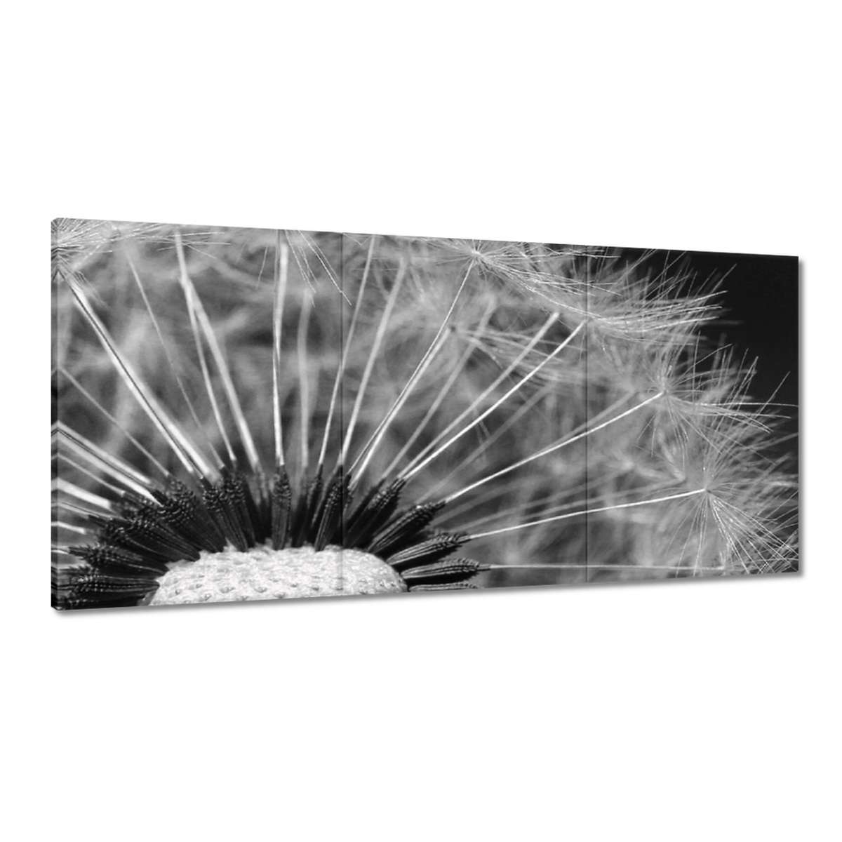 Obrazy 180x90 Púpava Kvet Kvety