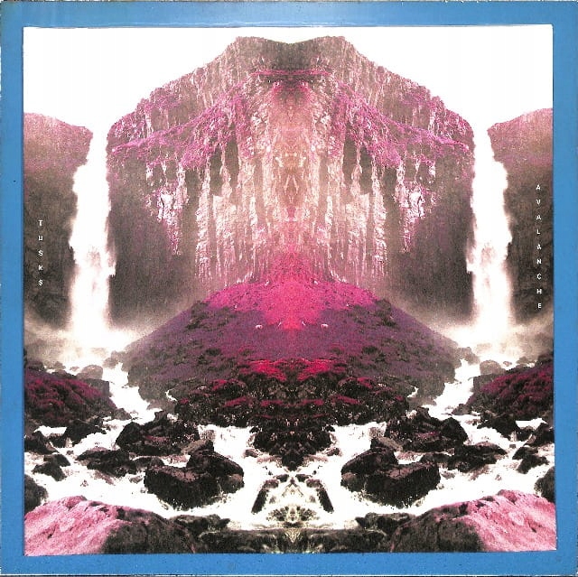 Tusks Avalanche Eu New