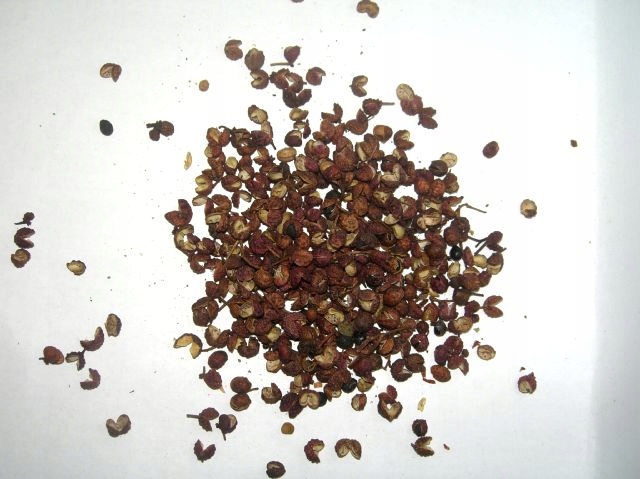 Levně pepř celý 10 kg Rafex