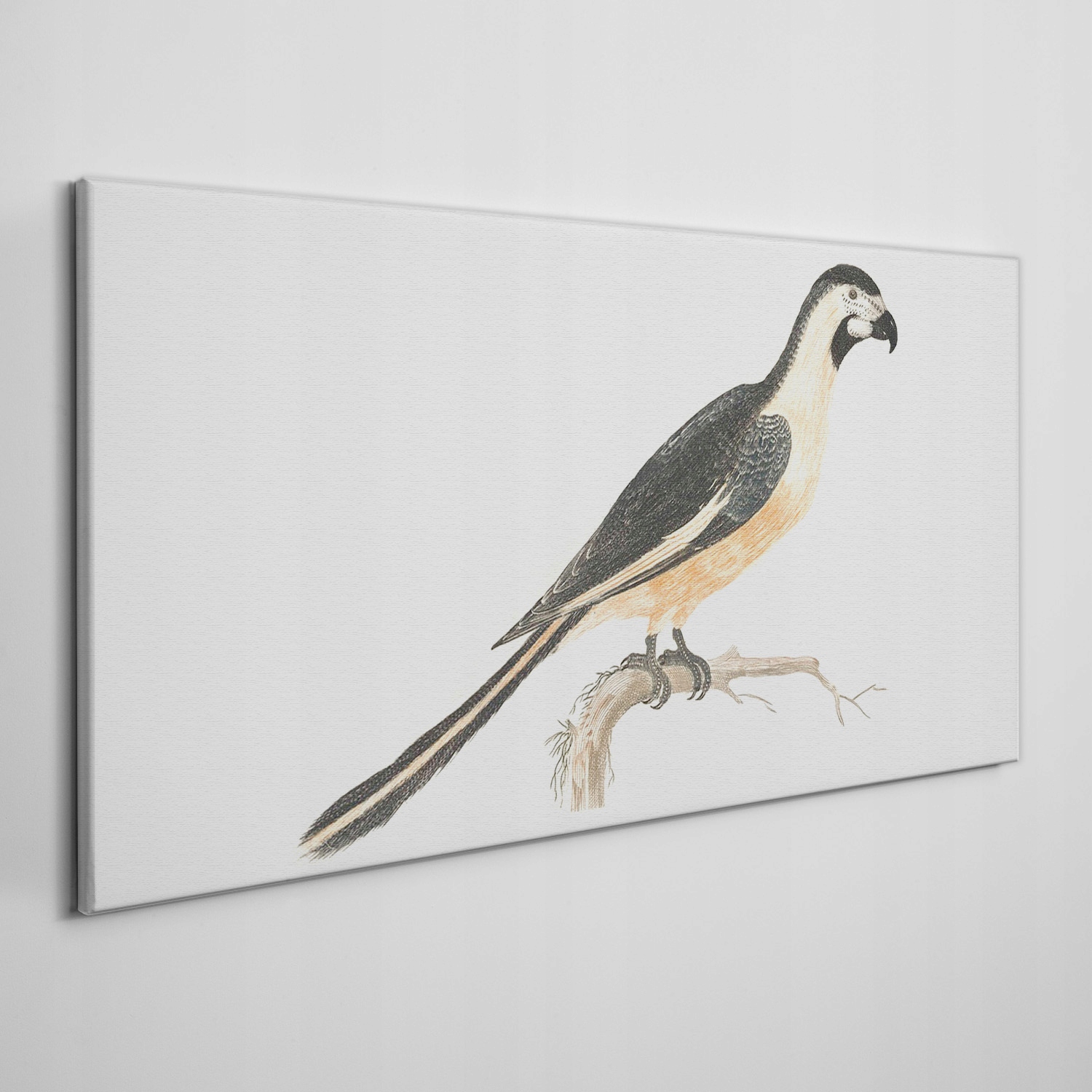 

Obraz na ramie płótno Zwierzę ptak gałąź 120x60 cm